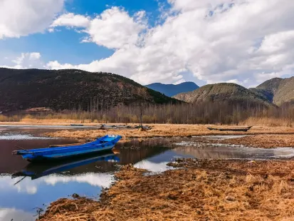 Bobby Casino Mobilapp